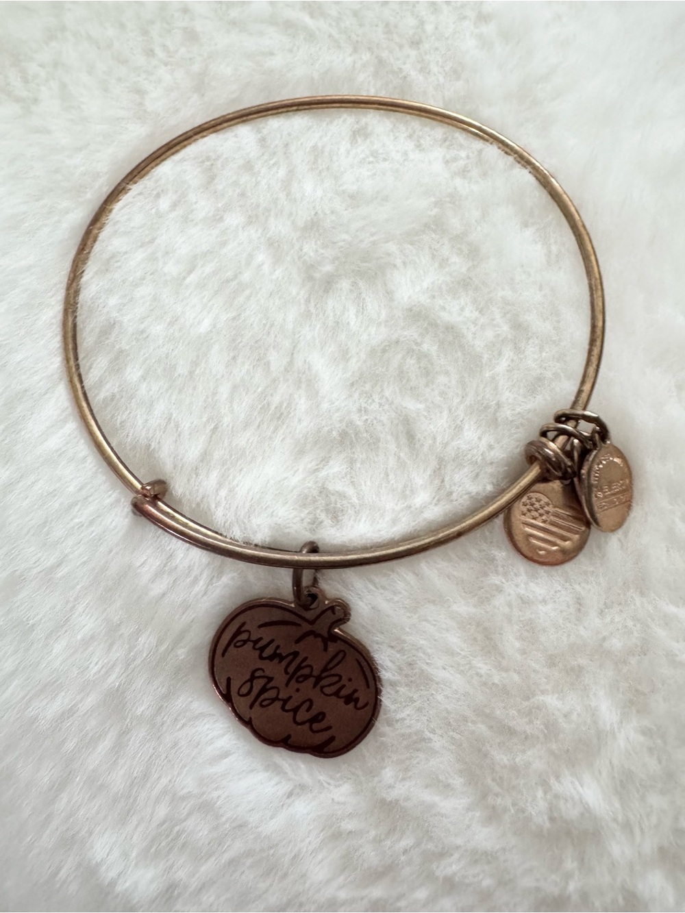 Alex and Ani Pumpkin Spice Charm Expandable Bangle Bracelet Gold Tone
